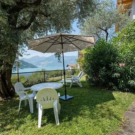Olivella Sale Marasino
