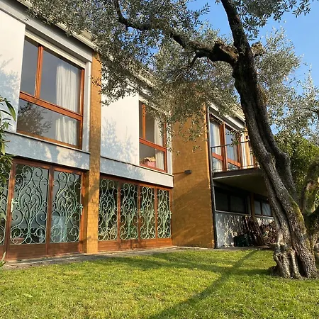 Olivella * Sale Marasino